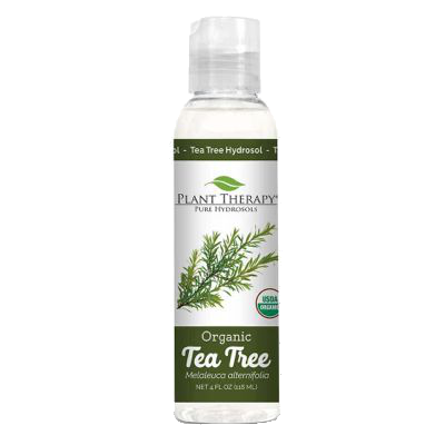 Tea Tree Hydrosol Organic Tea Tree Hydrosol Organic